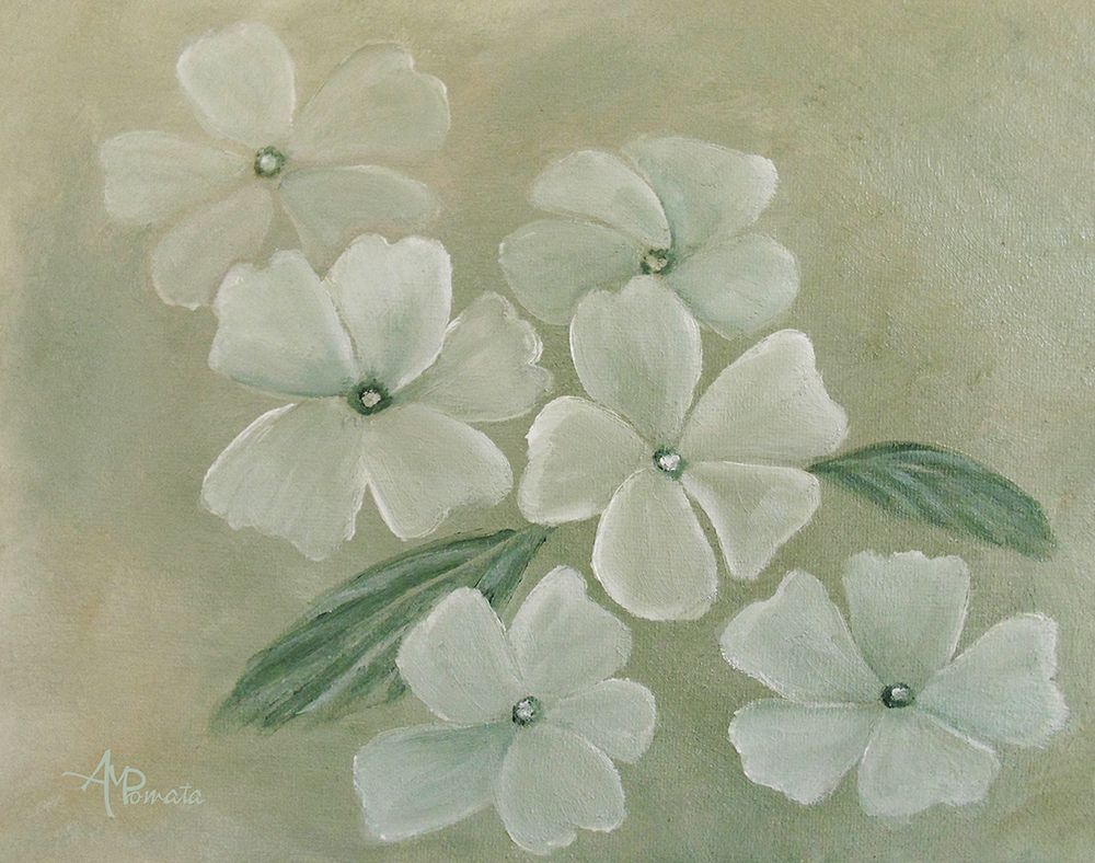 White Primula art print by Angeles M. Pomata for $57.95 CAD
