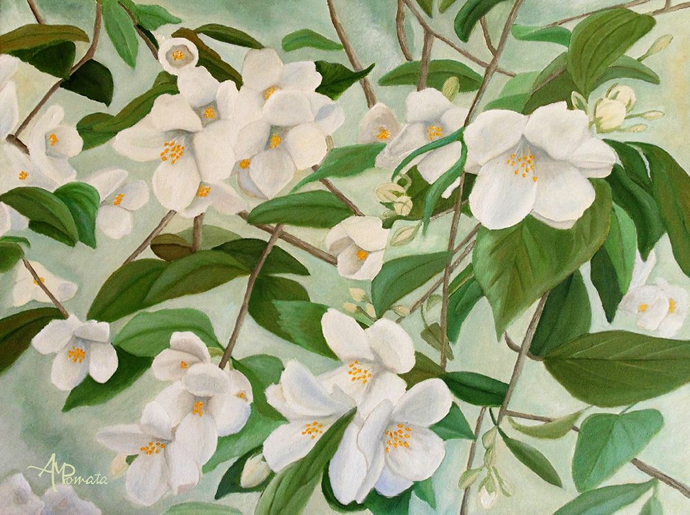 Orange Blossoms art print by Angeles M. Pomata for $57.95 CAD