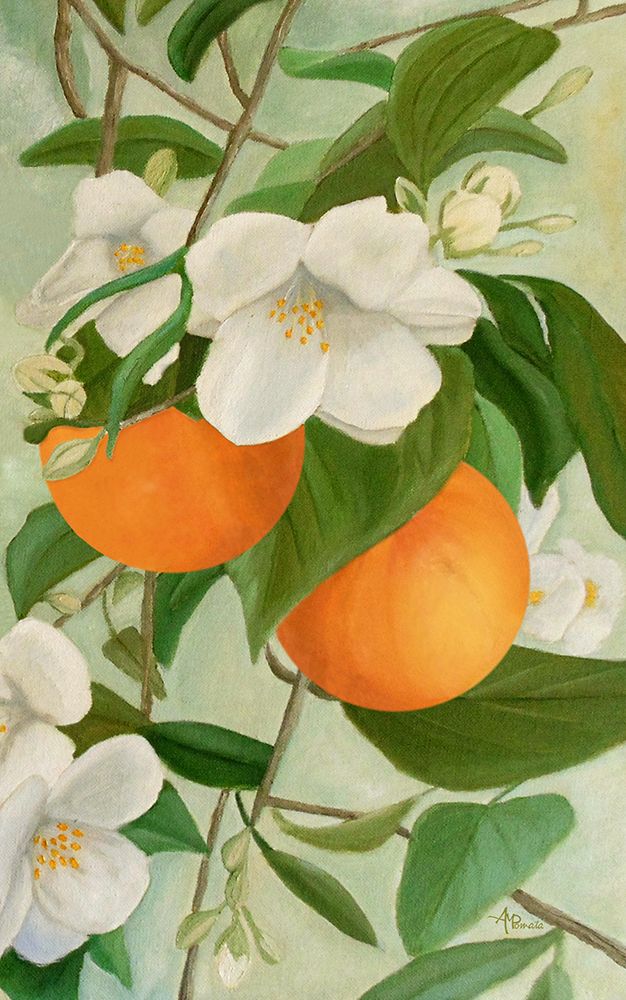 Branch of Orange Tree In Bloom art print by Angeles M. Pomata for $57.95 CAD