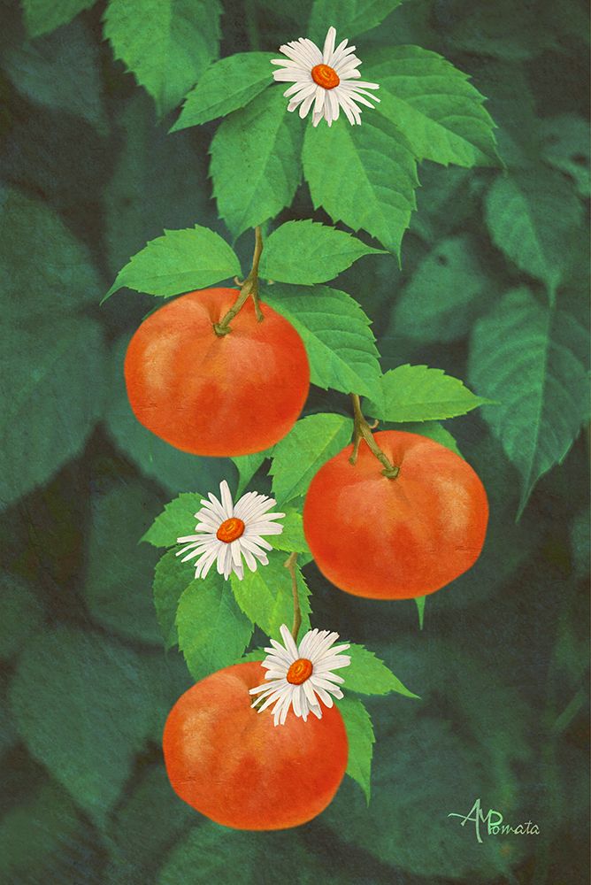 Branch of Mandarin Orange art print by Angeles M. Pomata for $57.95 CAD