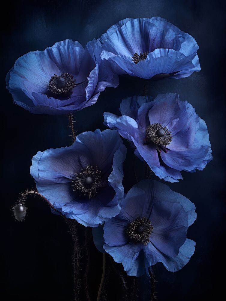 Poppies 5 art print by Bilge Paksoylu for $57.95 CAD