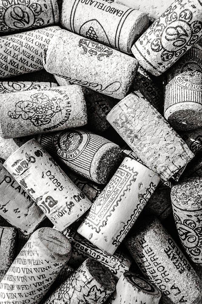 Wine 001 Bw art print by Pictufy Studio III for $57.95 CAD