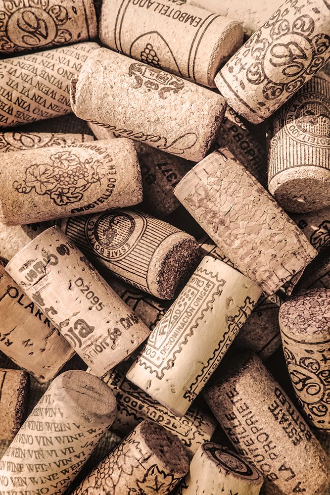 Wine 001 art print by Pictufy Studio III for $57.95 CAD