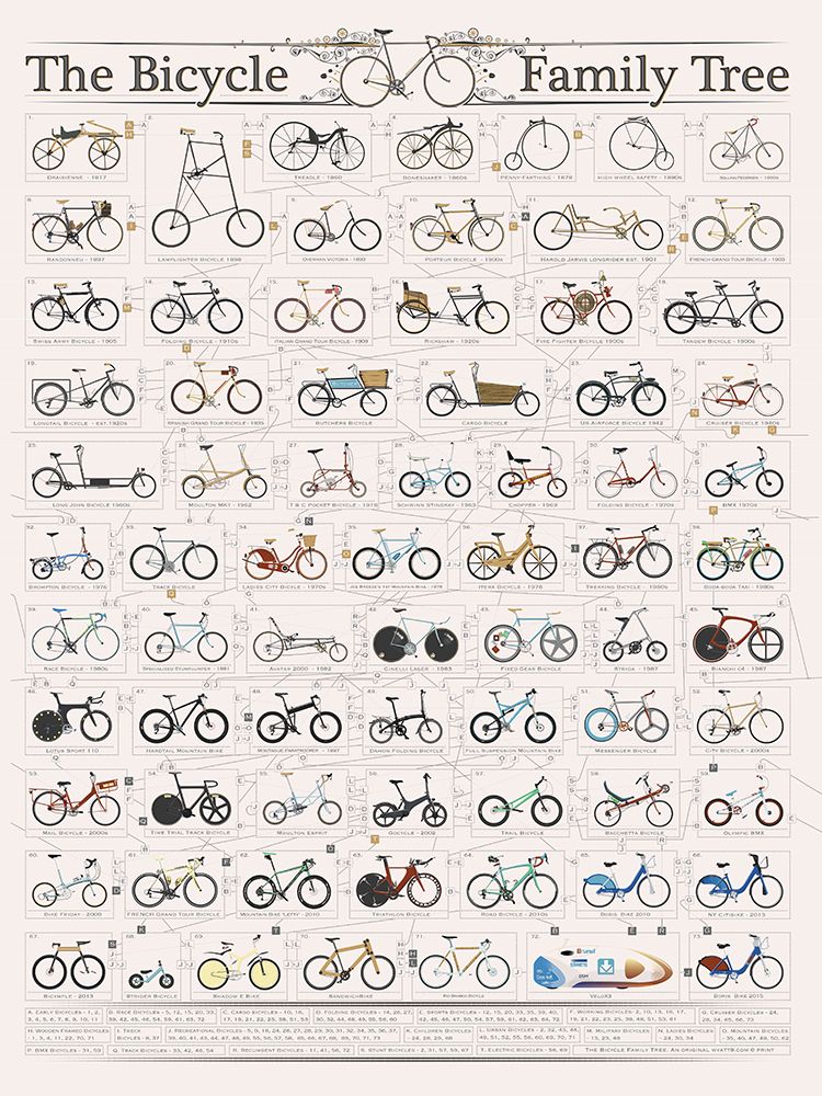 The History of the Bicycle art print by Wyatt 9 for $57.95 CAD