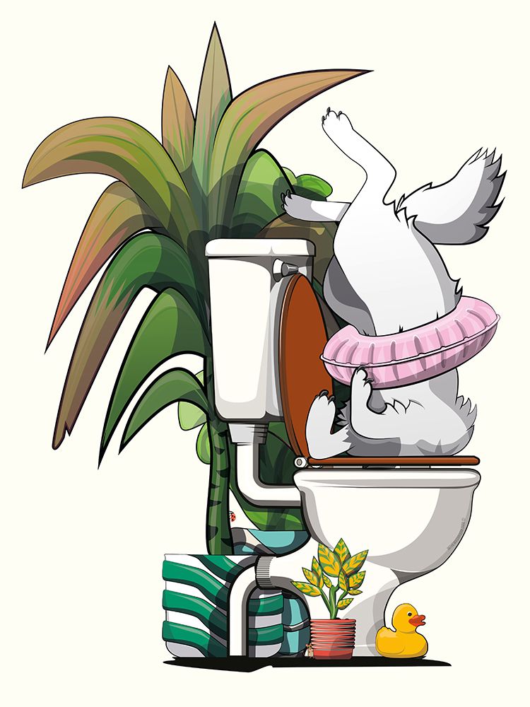 Arctic Fox In the Toilet art print by In The Washroom for $57.95 CAD
