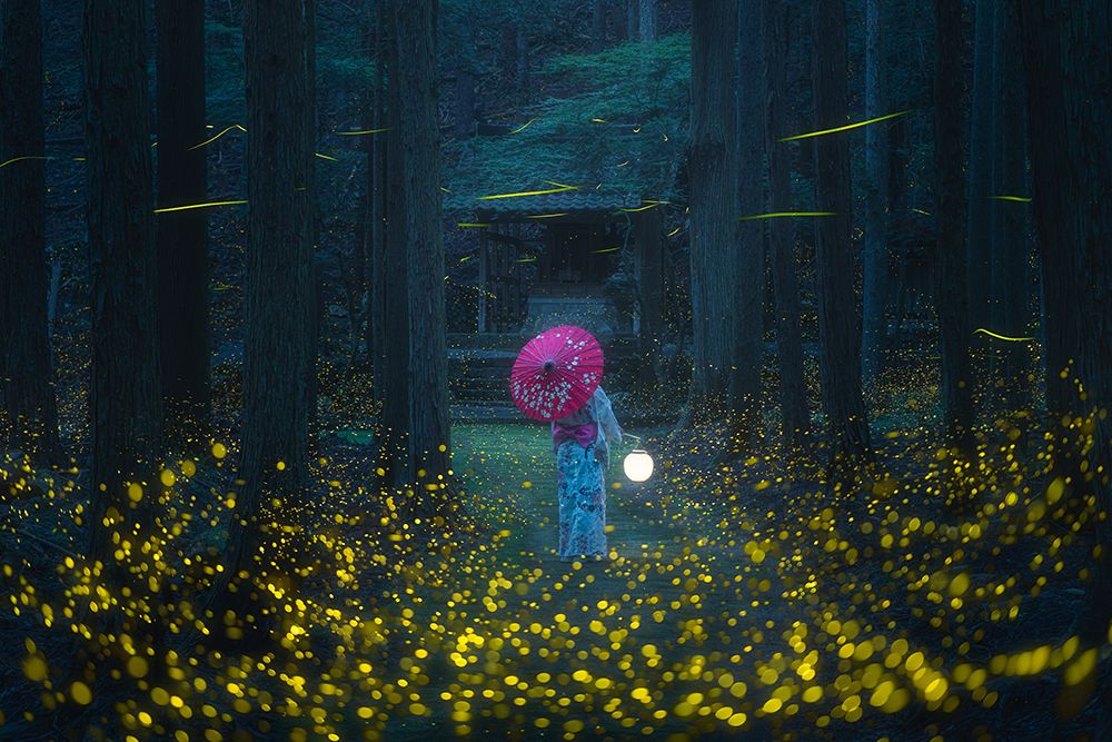 Japanese kimono and sea of fireflies art print by Vu van quan for $57.95 CAD