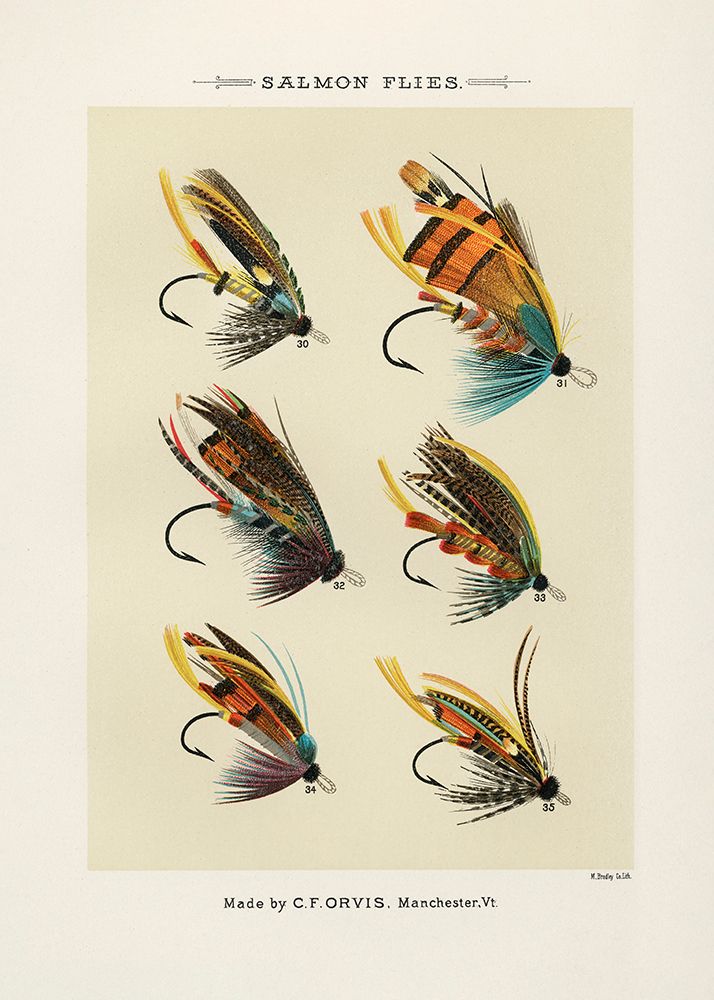 Salmon Fliee 1892 art print by Pictufy for $57.95 CAD