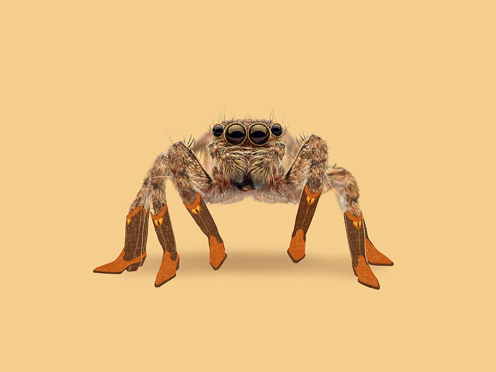 Lydia the Leggiest Cowgirl Spider art print by Anyone Can Yeehaw for $57.95 CAD