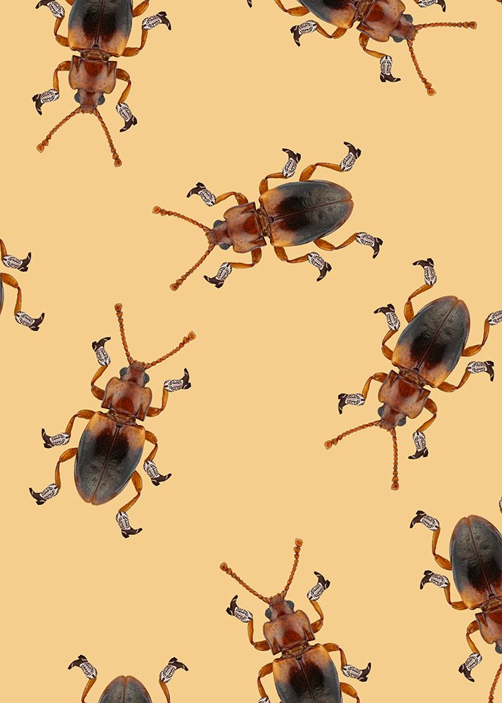 Billy The Booted Beetle art print by Anyone Can Yeehaw for $57.95 CAD