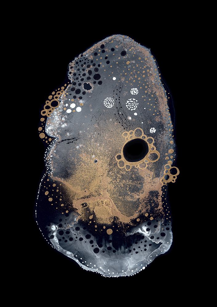 Specimen Iv art print by Amy Louise Baker for $57.95 CAD