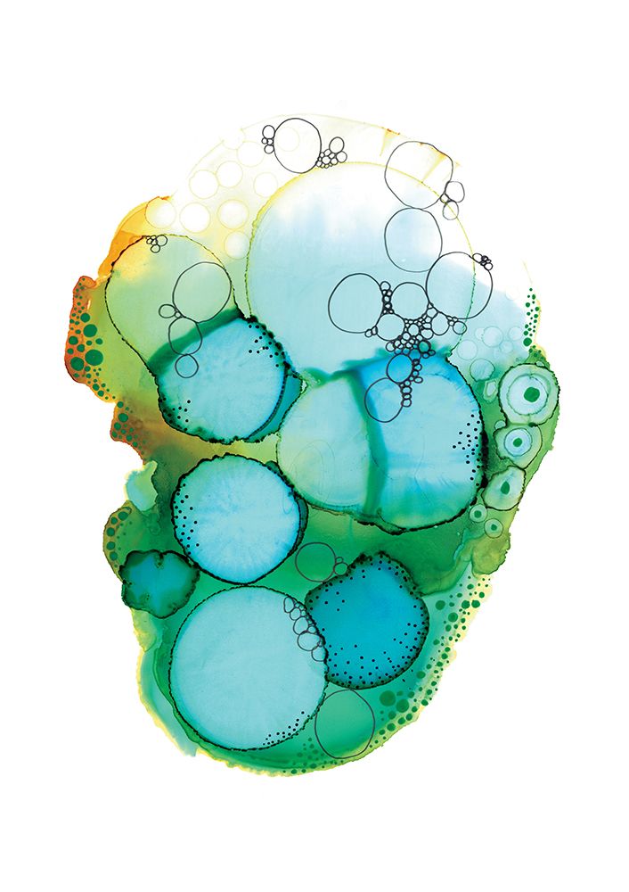 Specimen XII art print by Amy Louise Baker for $57.95 CAD