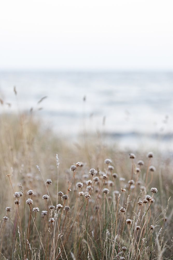 Coast Landscapes 4 art print by Mareike Bohmer for $57.95 CAD