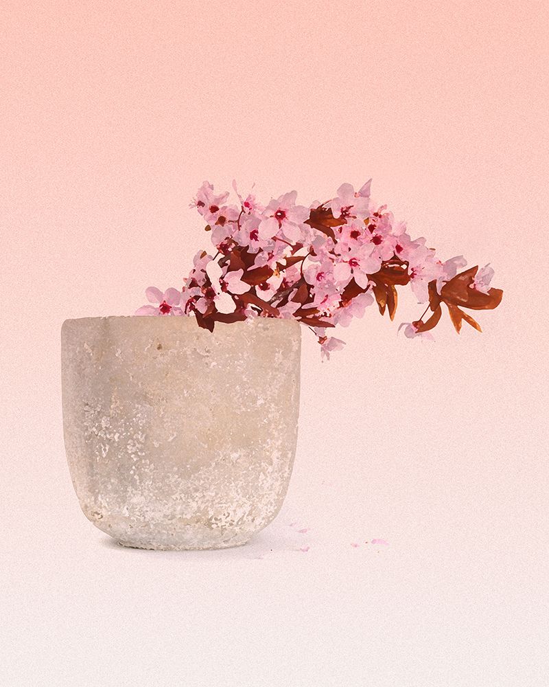 Flower 2 Dario Moschetta art print by Dario Moschetta for $57.95 CAD