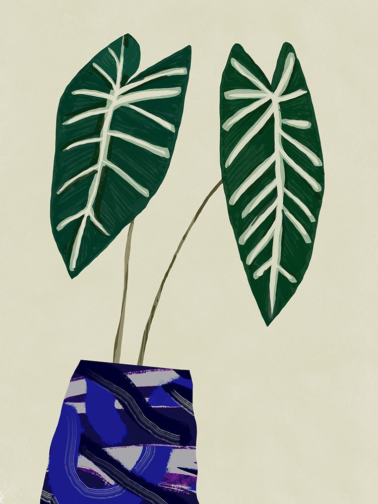 Begonia indoor plant art print by Little Dean for $57.95 CAD
