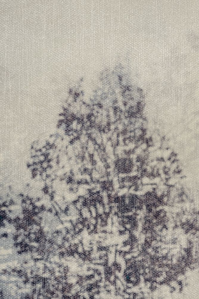 Misty tree art print by Imaginative for $57.95 CAD