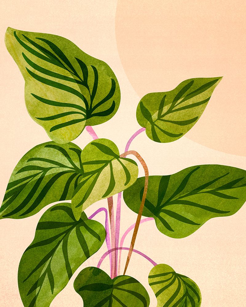Thriving In the Sun V2 art print by Kristian Gallagher for $57.95 CAD
