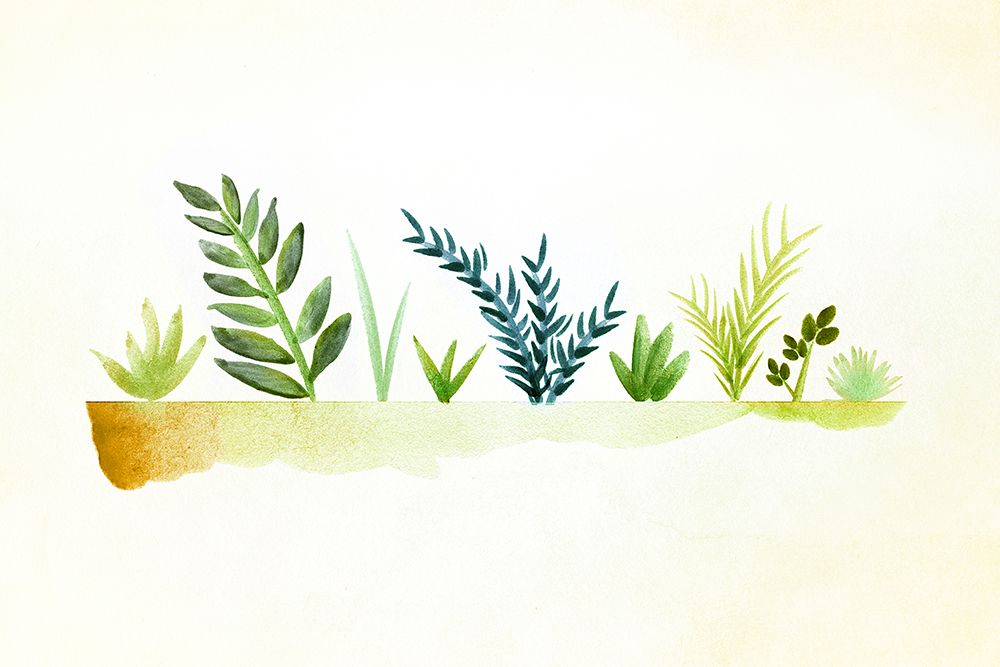Tiny Garden art print by Kristian Gallagher for $57.95 CAD