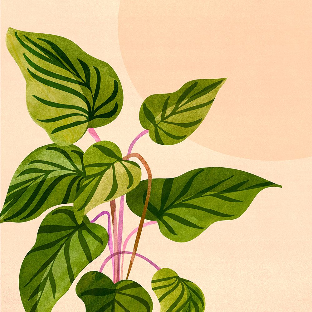 Thriving In the Sunsq art print by Kristian Gallagher for $57.95 CAD