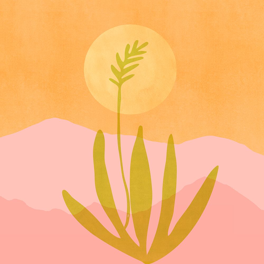 Agave In Moonlight art print by Kristian Gallagher for $57.95 CAD