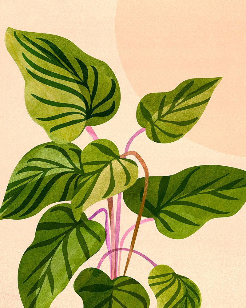 Thriving In the Sun art print by Kristian Gallagher for $57.95 CAD