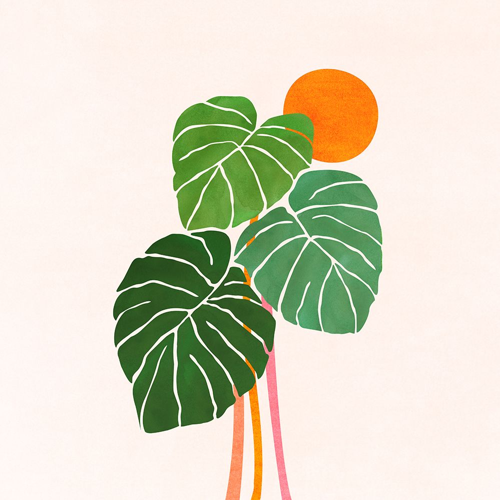 Monstera and Sunshine 1 Sq art print by Kristian Gallagher for $57.95 CAD