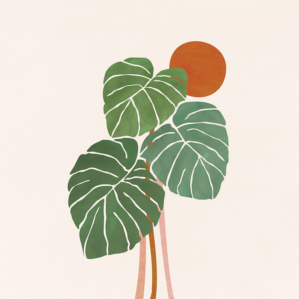 Monstera and Sunshine 2 Sq art print by Kristian Gallagher for $57.95 CAD