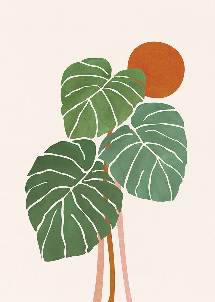 Monstera and Sunshine 2 art print by Kristian Gallagher for $57.95 CAD