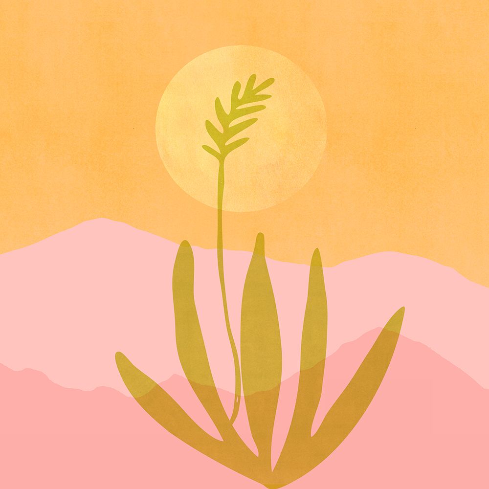 Southwest Sunset Sq art print by Kristian Gallagher for $57.95 CAD
