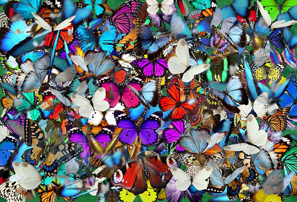 A Thousand Butterflies came out to Play art print by Sue Skellern for $57.95 CAD