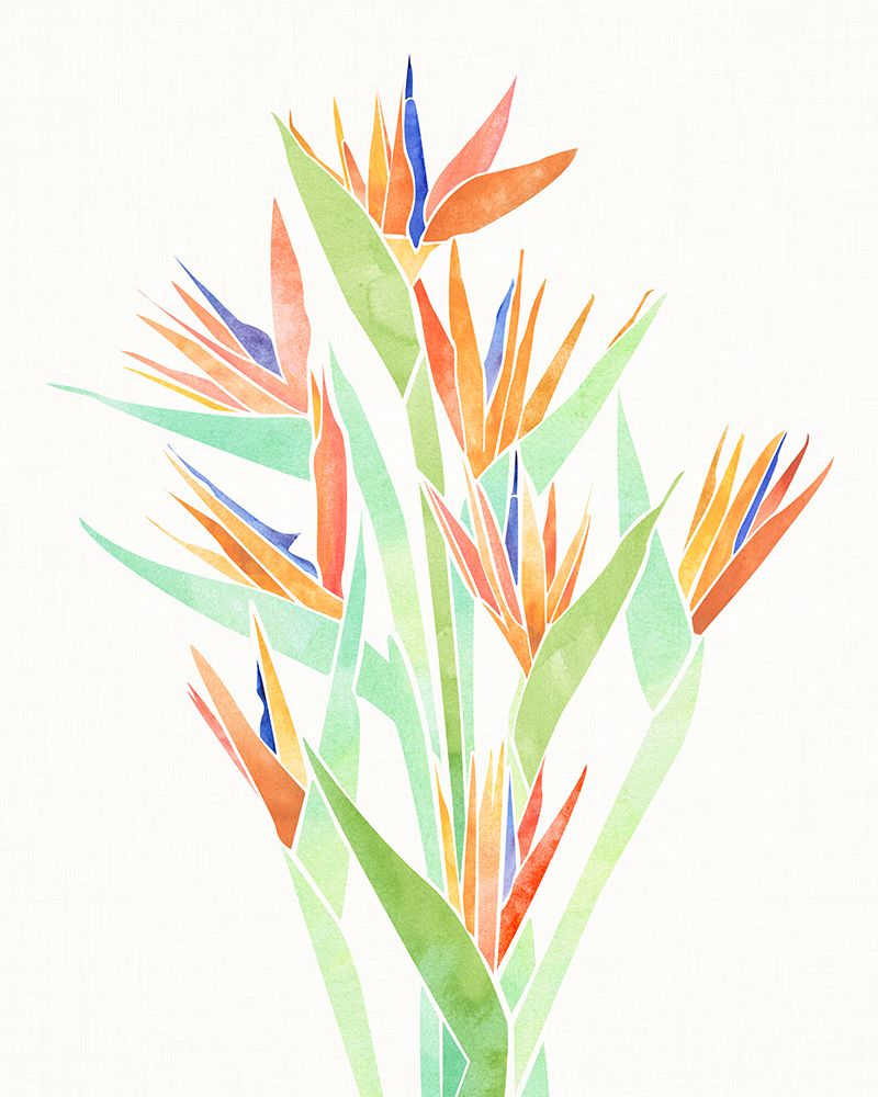 Birds of Paradise 2 art print by Kristian Gallagher for $57.95 CAD