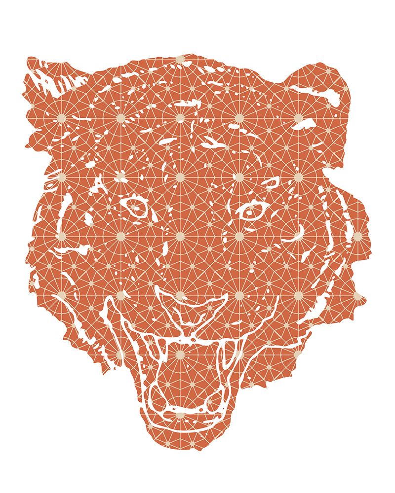 1 Animal Patterns 04 art print by Emiliano Deificus for $57.95 CAD