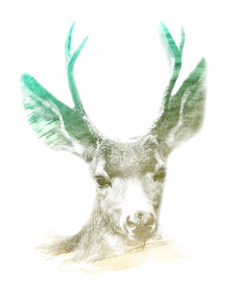 0012 Animal Watercolor art print by Emiliano Deificus for $57.95 CAD