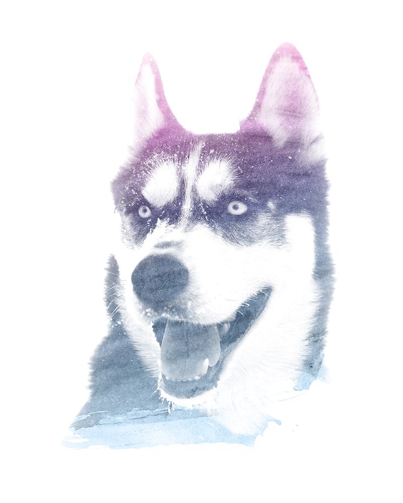 0011 Animal Watercolor art print by Emiliano Deificus for $57.95 CAD