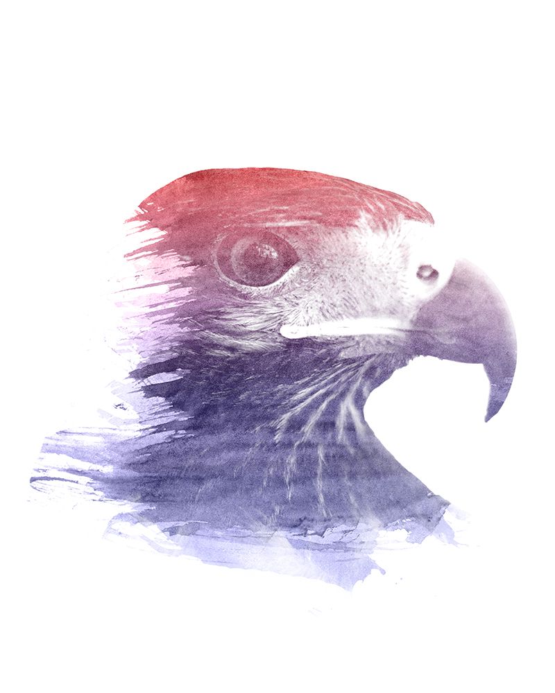 0009 Animal Watercolor art print by Emiliano Deificus for $57.95 CAD