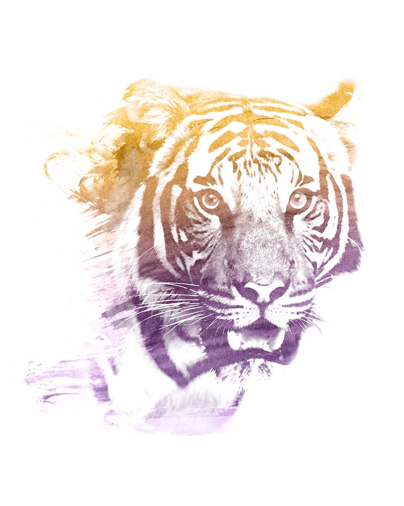 0001 Animal Watercolor art print by Emiliano Deificus for $57.95 CAD