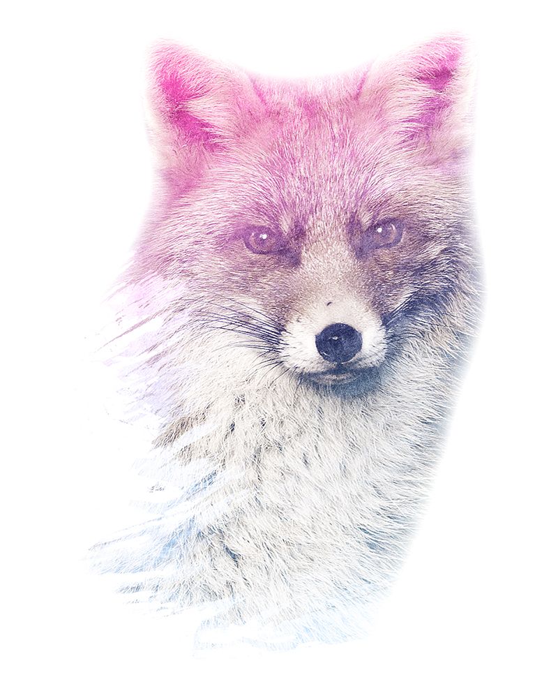 0010 Animal Watercolor art print by Emiliano Deificus for $57.95 CAD