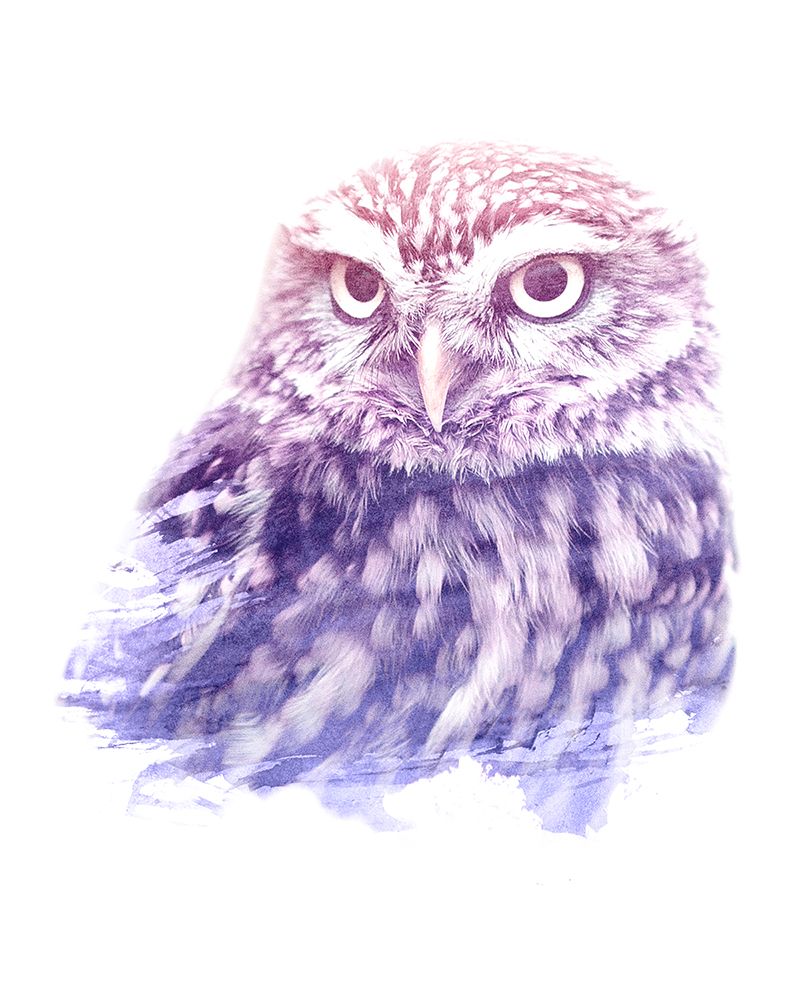 0013 Animal Watercolor art print by Emiliano Deificus for $57.95 CAD