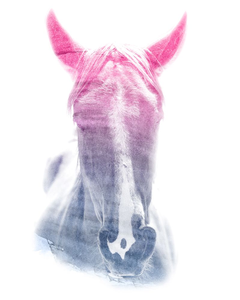 0003 Animal Watercolor art print by Emiliano Deificus for $57.95 CAD