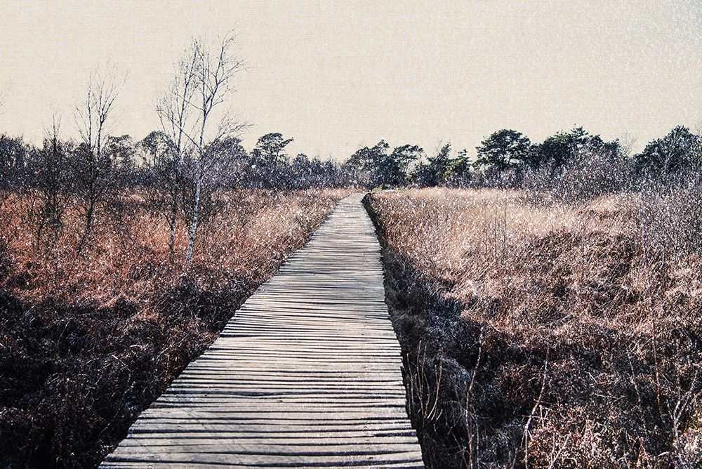 Nature reserve art print by Imaginative for $57.95 CAD