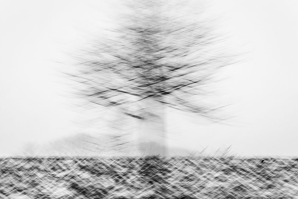 Moving tree in the snow art print by Imaginative for $57.95 CAD
