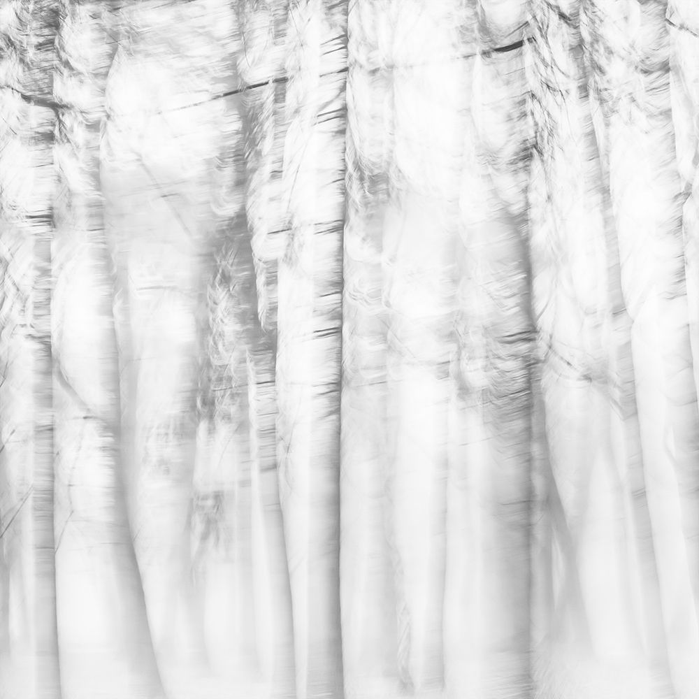 Poetic forest art print by Imaginative for $57.95 CAD