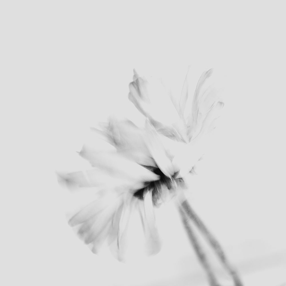 Moody flower 2 art print by Imaginative for $57.95 CAD