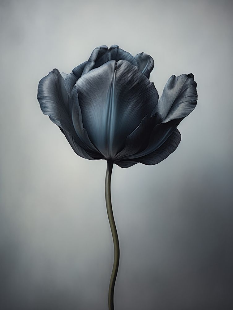 Black Flower 7 art print by Bilge Paksoylu for $57.95 CAD