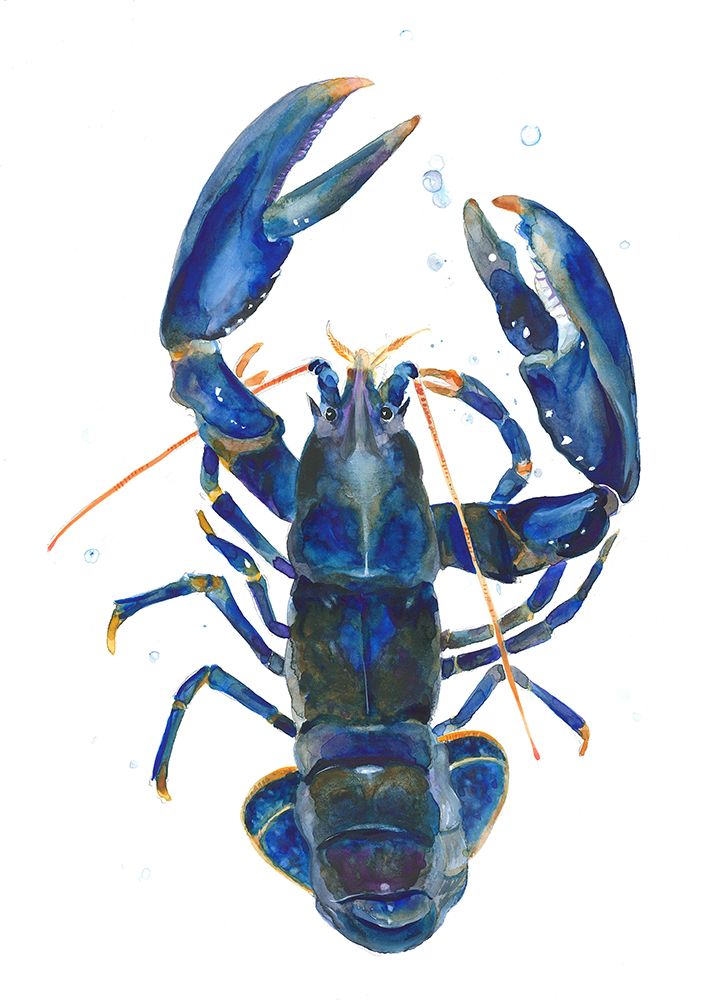 A Blue Lobster art print by Isabelle Brent for $57.95 CAD