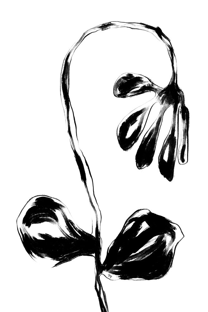 Black Flower art print by Martina for $57.95 CAD