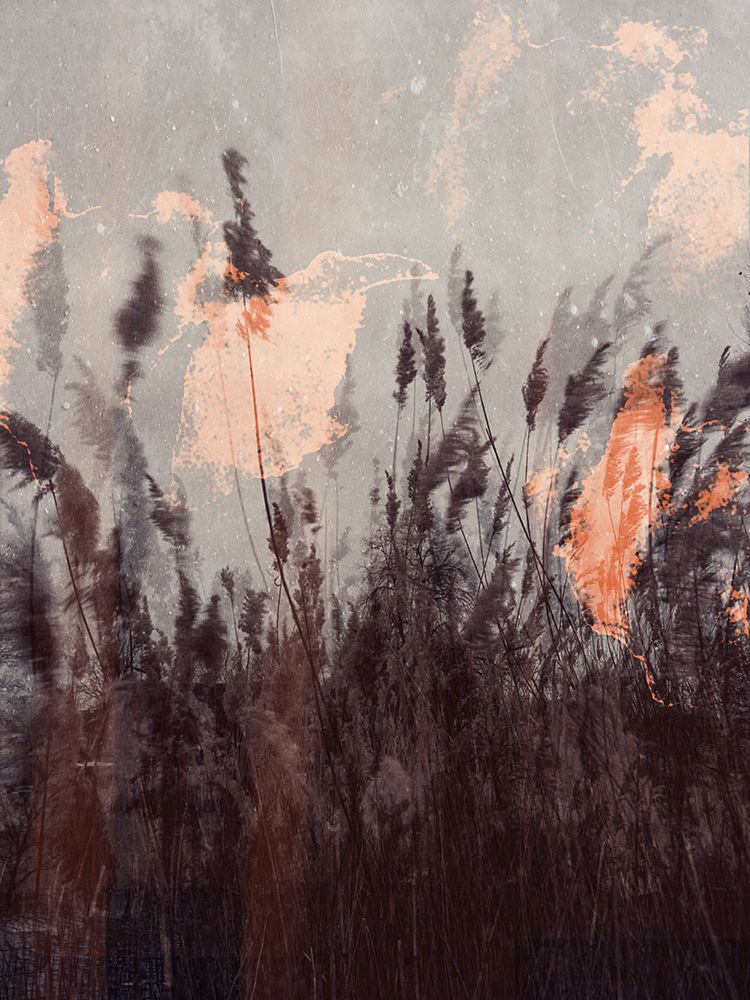 Dancing grass art print by Imaginative for $57.95 CAD