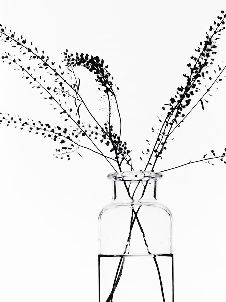 Bottle I art print by Magda Izzard for $57.95 CAD