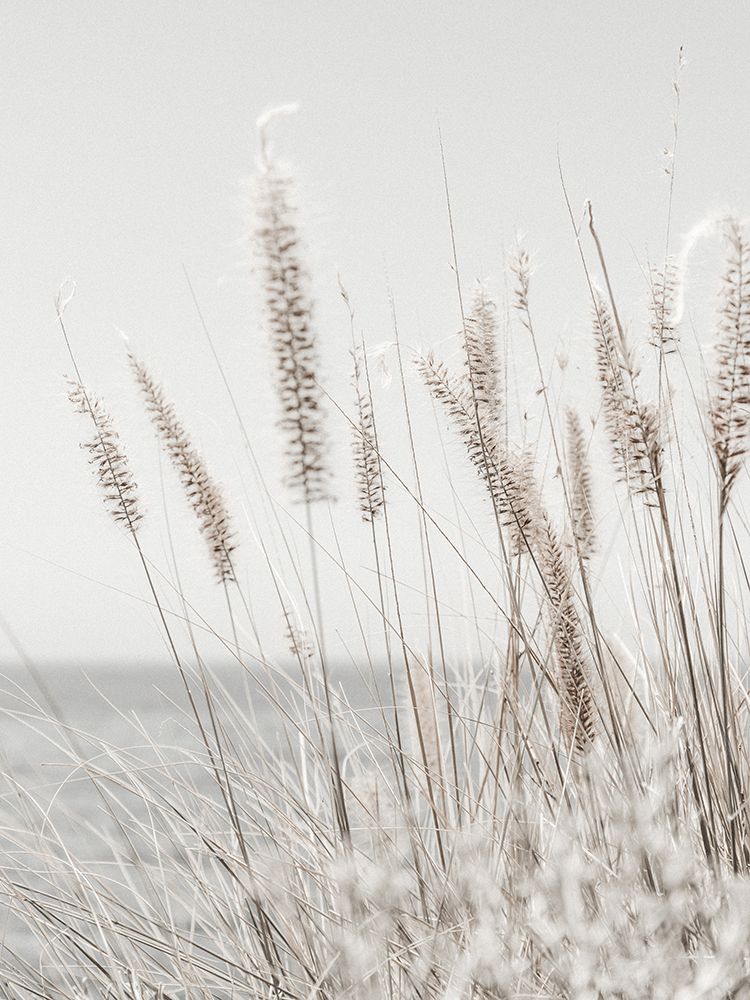 Grass art print by Magda Izzard for $57.95 CAD