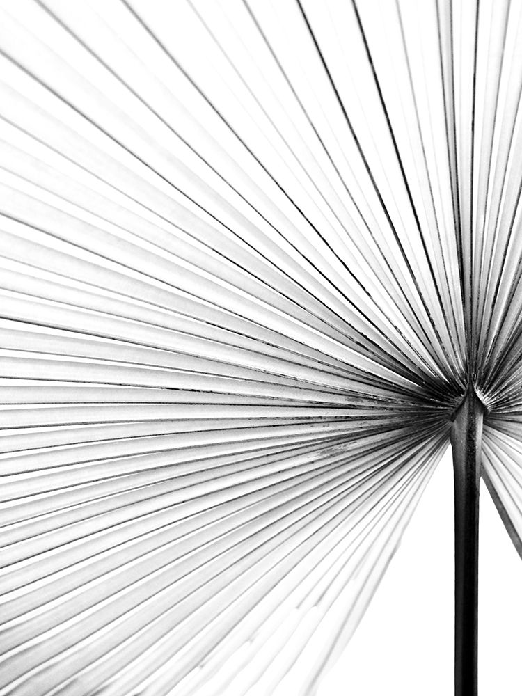 Leaf I art print by Magda Izzard for $57.95 CAD