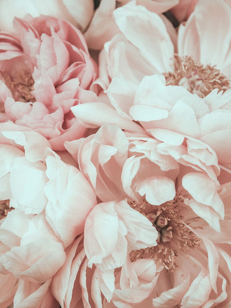 Mix art print by Magda Izzard for $57.95 CAD